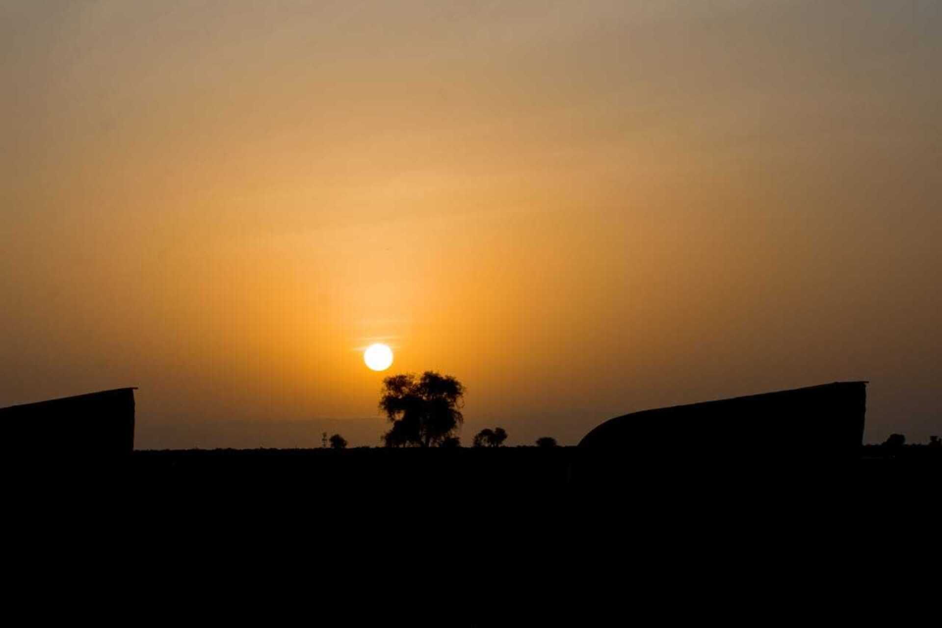 Een zonsondergang met de zon laag aan de horizon, silhouet van bomen en een vlak landschap.