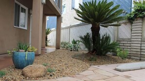 Un patio con un sendero de piedra, una maceta azul grande con suculentas y una palmera.