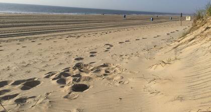 1st Floor On the Beach: 4 Steps and toes in the sand...