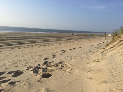 1st Floor On the Beach: 4 Steps and toes in the sand...