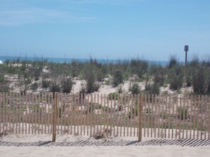 A sandy beach with a wooden fence and sparse vegetation.