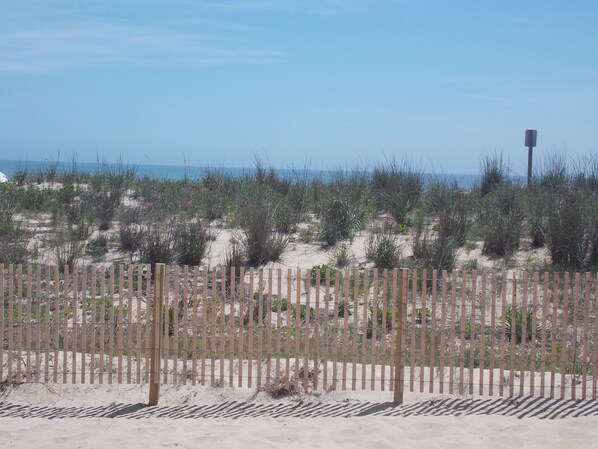 On the beach, sun-loungers - 1st Floor On the Beach: 4 Steps and toes in the sand... (Ocean City)