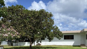 A grassy yard with a large tree and a white building. - 5mins to the beach, 2mins fr airport and mins fr restaurants,malls and hospitals (Tamuning)