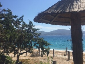 Une vue sur la plage avec un parasol en chaume, des pins et une clôture en bois.