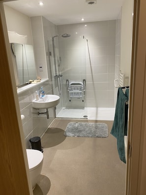 Shower, hair dryer, towels, soap