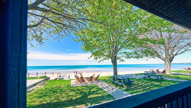 On peut admirer la plage depuis une terrasse couverte équipée de tables et de chaises pour pique-niquer, ainsi qu’une pelouse et un grand arbre.