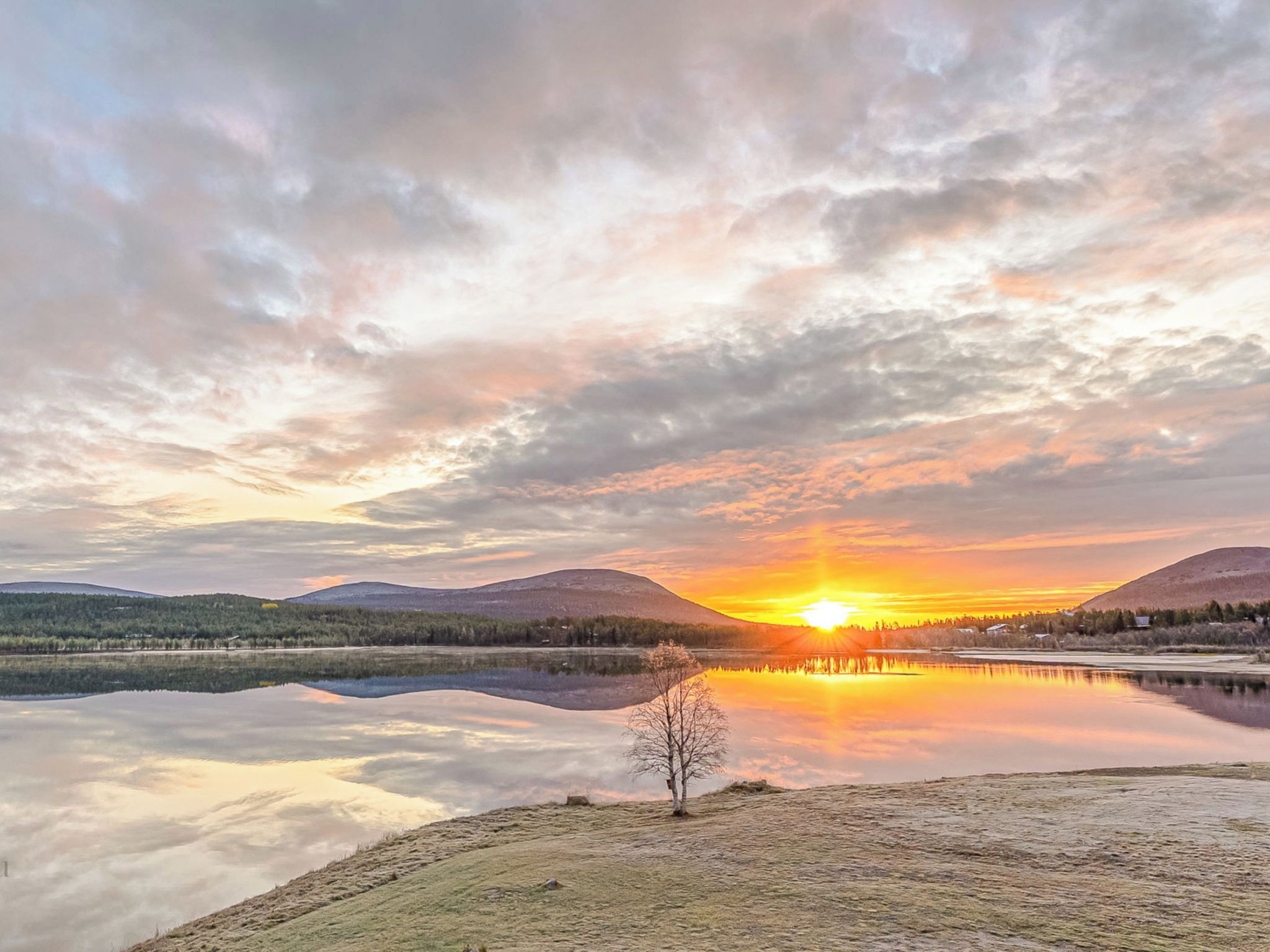 En stilla sjöutsikt med klar himmel, ett ensamt träd och avlägsna berg.