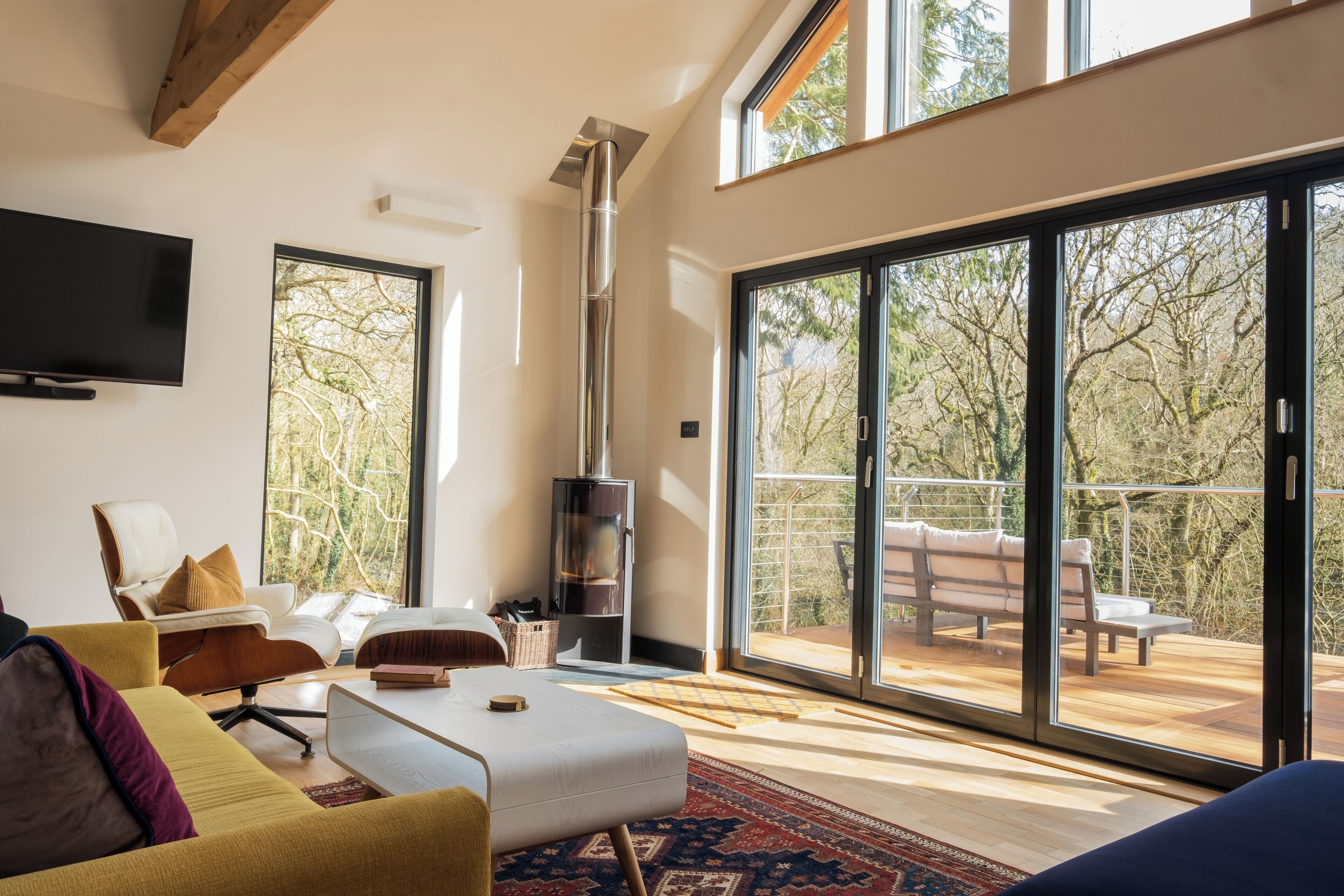 Smart TV, fireplace, books, video library