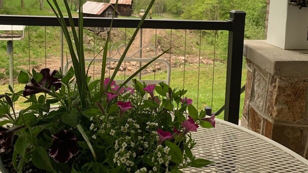 A balcony with a potted plant and a view of a rural landscape.