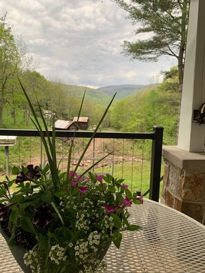 A balcony with a potted plant and a view of a rural landscape.