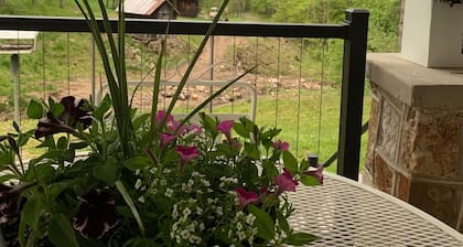 Secluded mountain home; explorable acreage; free of noise and light pollution