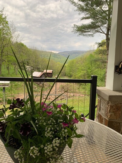 Secluded mountain home; explorable acreage; free of noise and light pollution