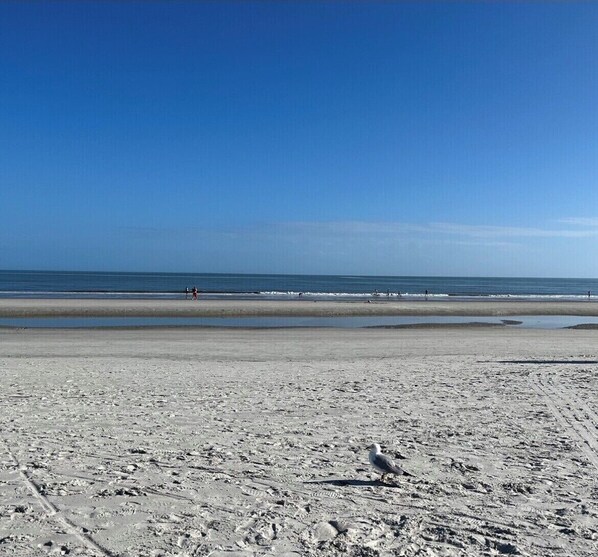 Vlak bij het strand, ligstoelen, strandlakens