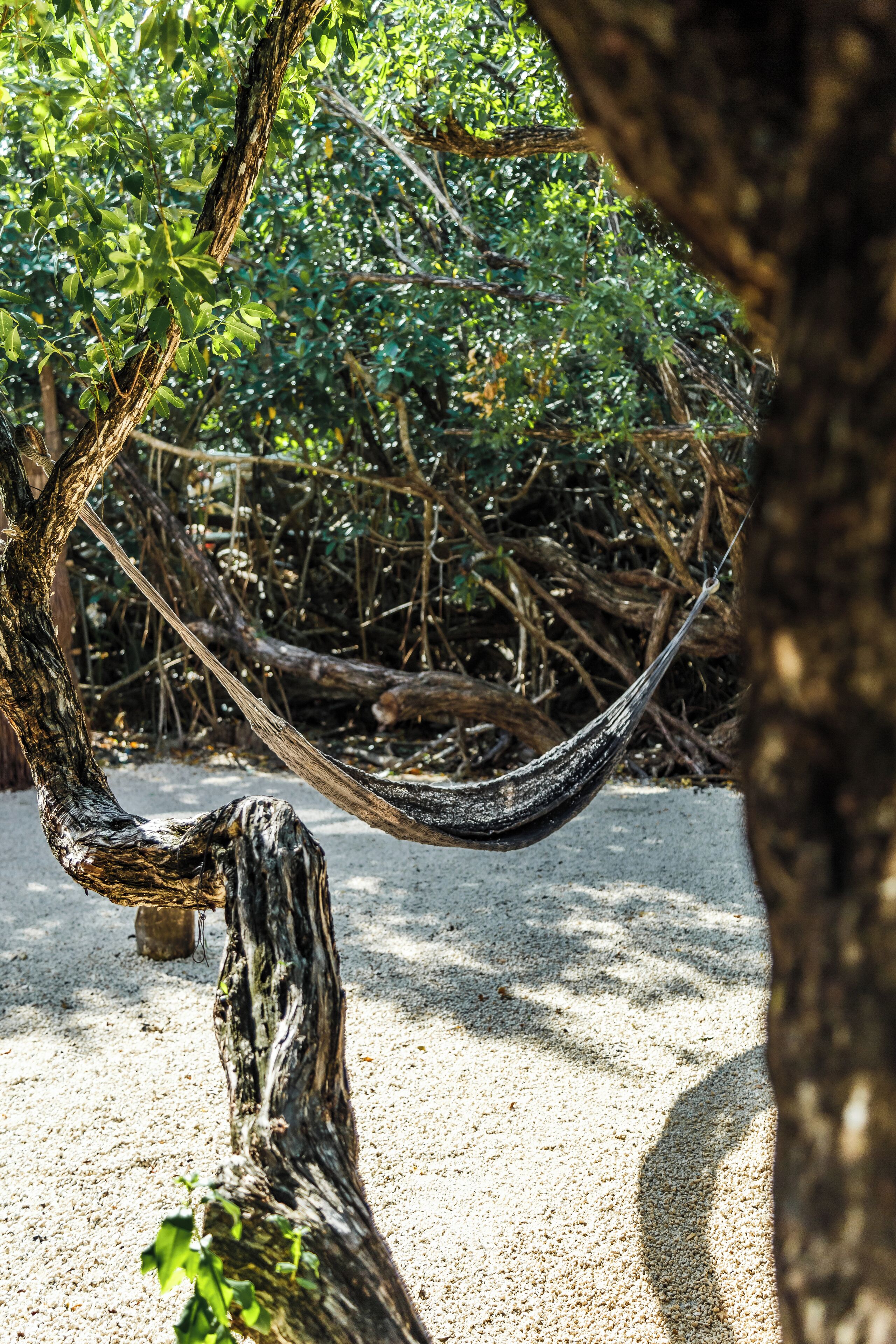 Foto - Eco Bañitas Tulum
