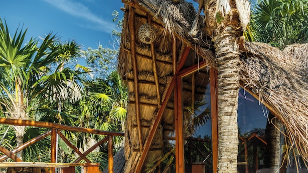 A thatched-roof structure with wooden beams and a glass window, surrounded by palm trees. - Eco.Bañitas (Tulum)