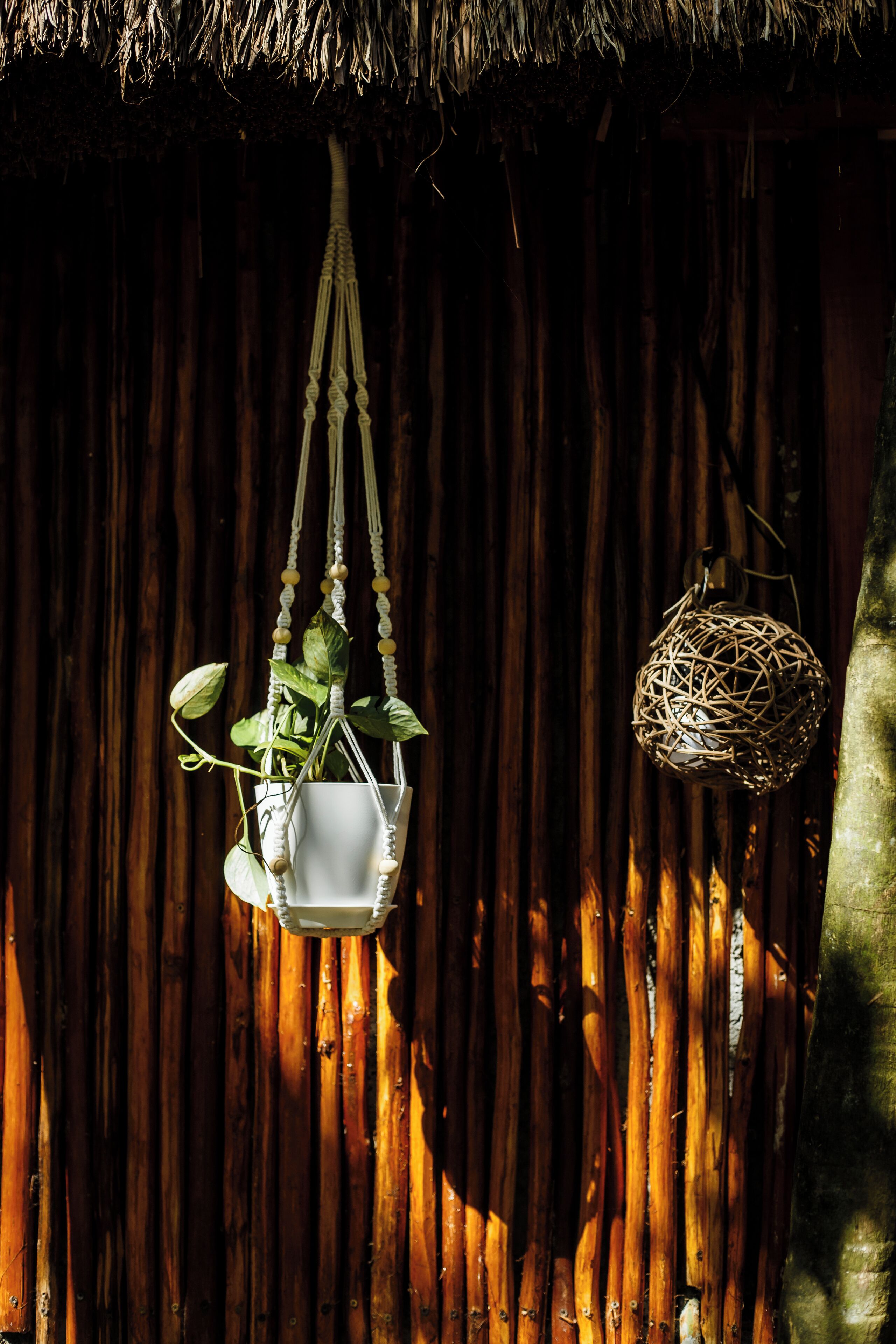 Foto - Eco Bañitas Tulum