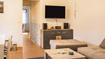 Fernseher, Stereoanlage