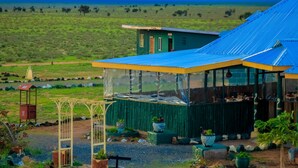 Un edificio verde con techo azul, rodeado por un jardín con plantas en macetas y una vista despejada de un campo verde al fondo.