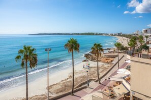 A beach view with palm trees, a promenade, and buildings in the background.