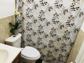 Shower, hair dryer, towels, soap