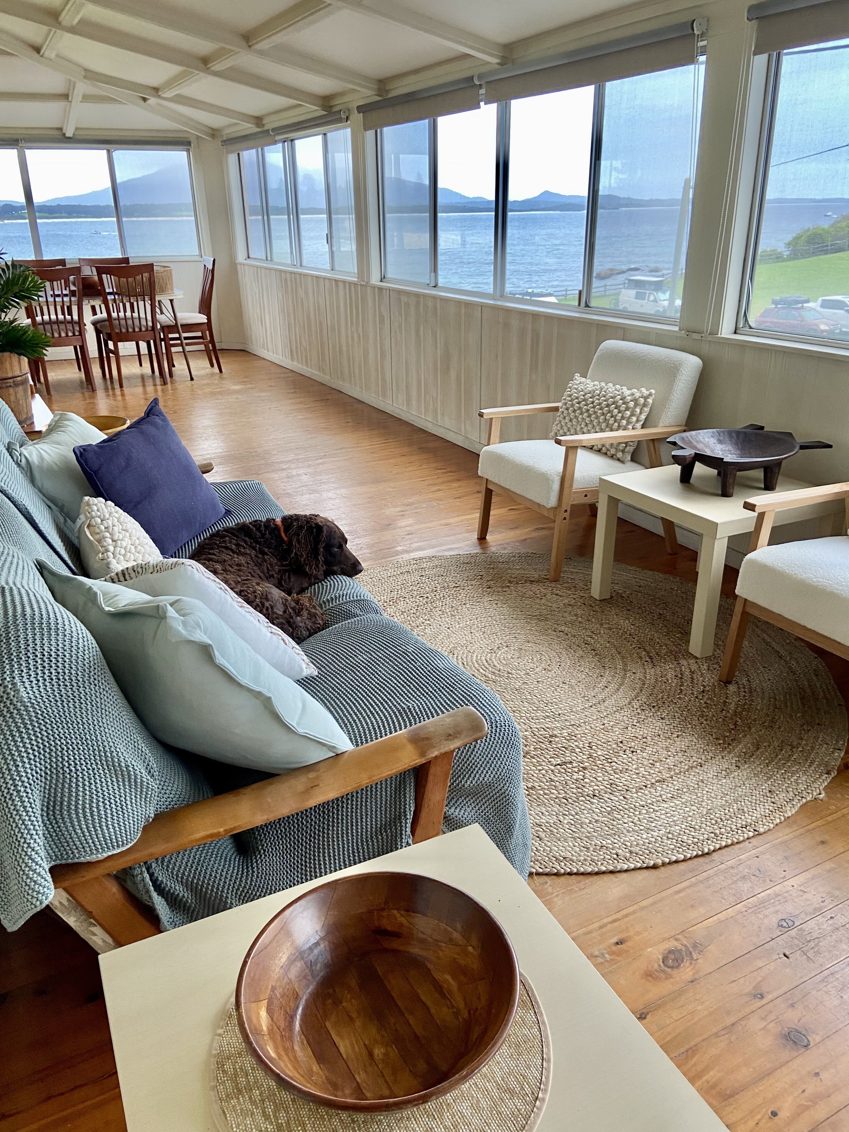 Televisión, reproductor de DVD y libros 