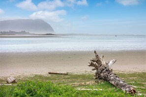 Una spiaggia con un albero caduto, una zona erbosa e una montagna in lontananza.