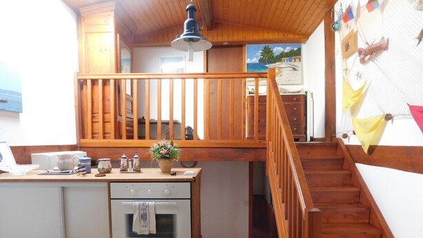A kitchen with wooden cabinets, a stove, and a small island with a plant. - Small resin house (Arcachon)
