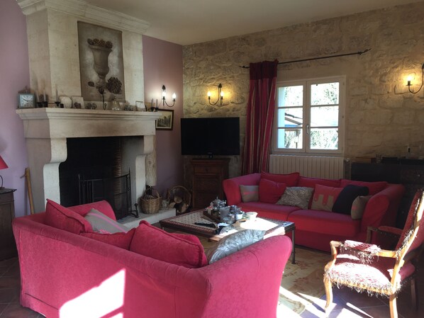 TV, fireplace, video games, DVD player