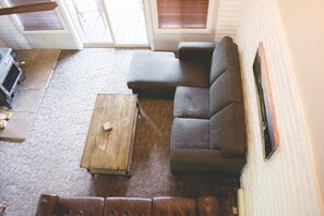 TV, fireplace, books