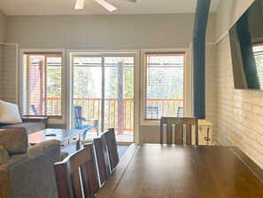 TV, fireplace, books