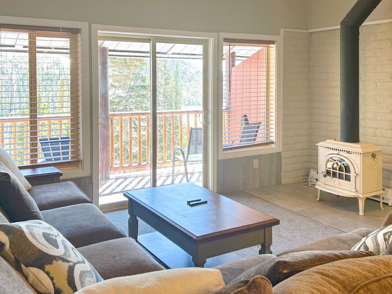 TV, fireplace, books