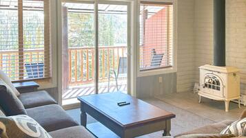 Fernseher, Kamin, Bücher