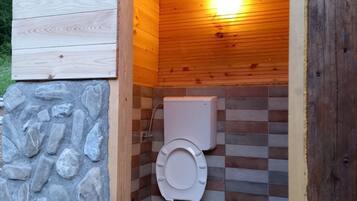 Shower, hair dryer, towels, toilet paper