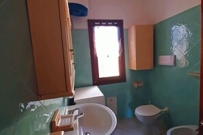 Shower, hair dryer, bidet