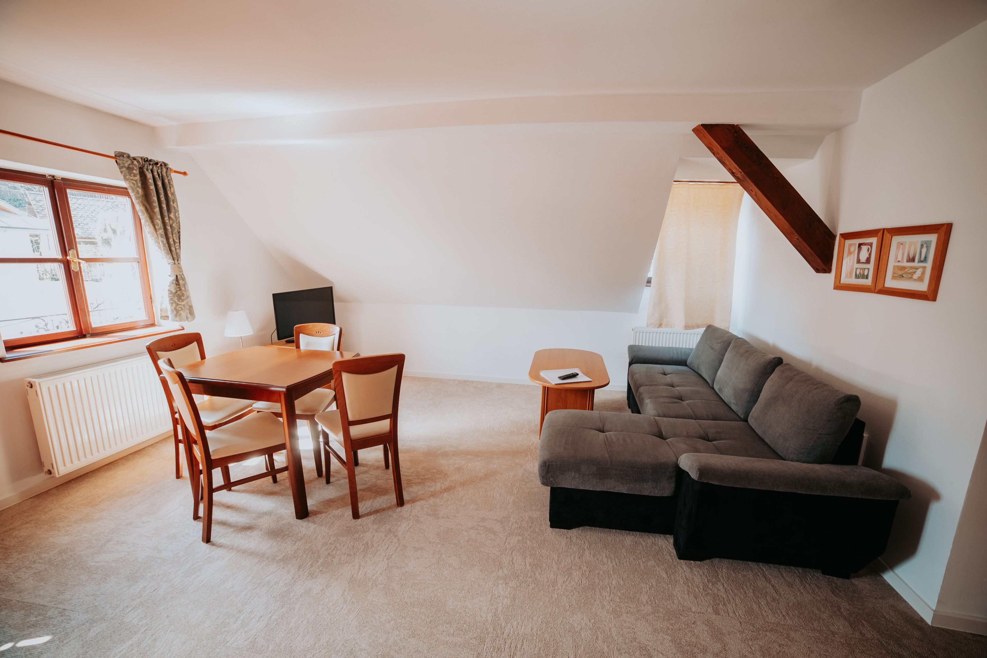 Family Apartment | Living area | 100-cm TV with satellite channels