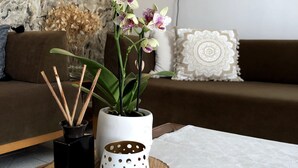 A modern living room with a sofa, decorative pillows, a wall-mounted lamp, and a potted orchid plant. - Rosy's House (Χανιά)