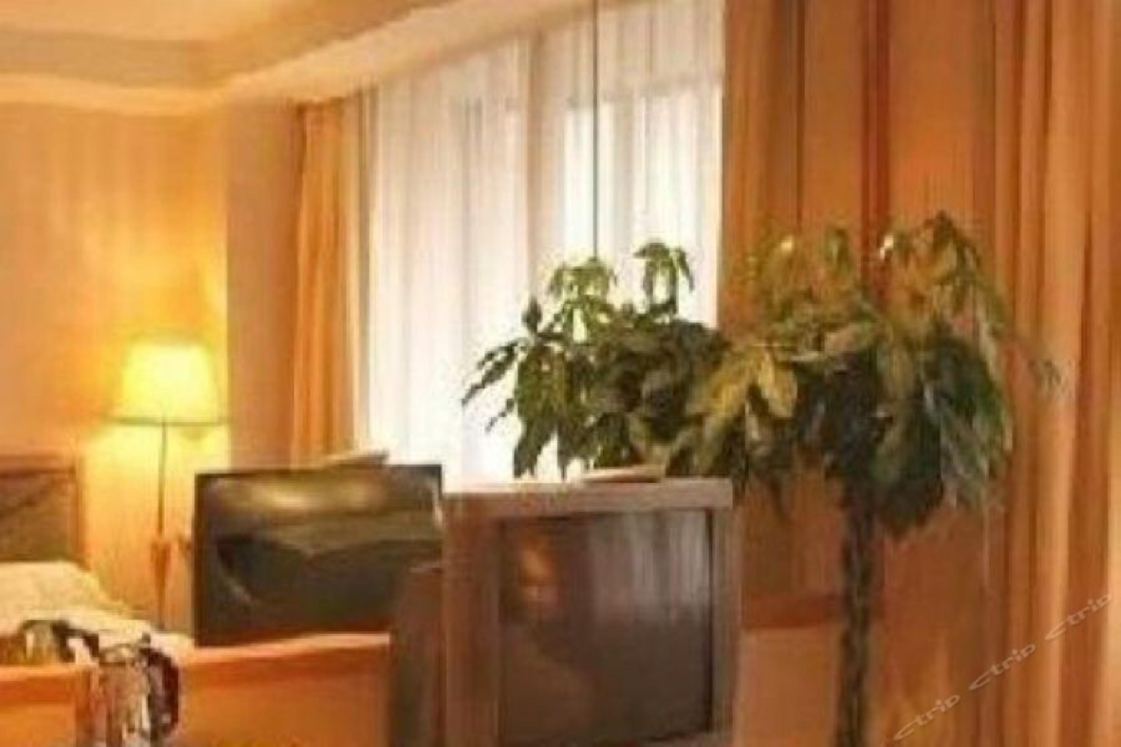 A hotel room with a bed, a television, a desk, and a potted plant.