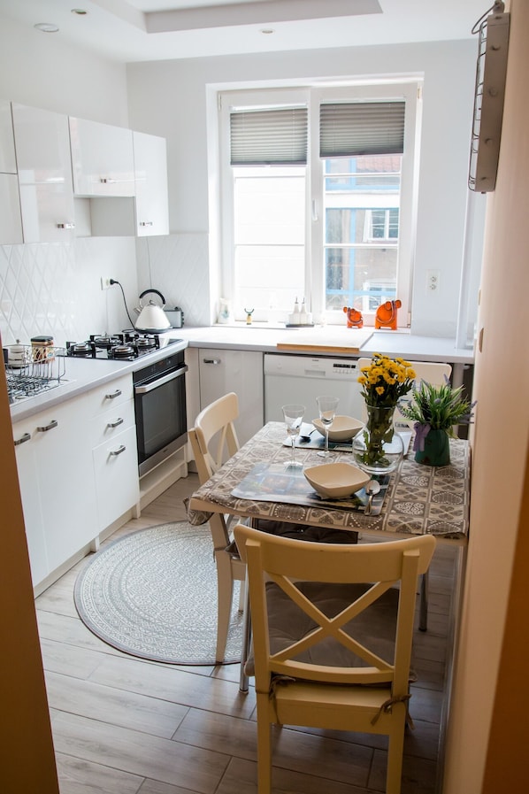 Classic Apartment | Private kitchen | Fridge, oven, cookware/dishes/utensils - Rabianska Suite (Torun)