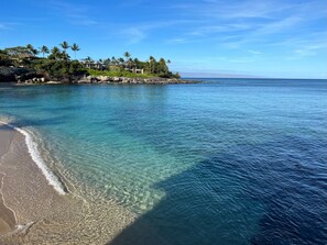 A beach with clear water, a sandy shore, and a residential area with houses and palm trees. - OCEAN VIEW 2 Bdrm condo with Secluded Beach - Kahana Sunset C7 (Lahaina)