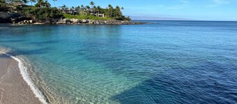 OCEAN VIEW 2 Bdrm condo with Secluded Beach - Kahana Sunset C7