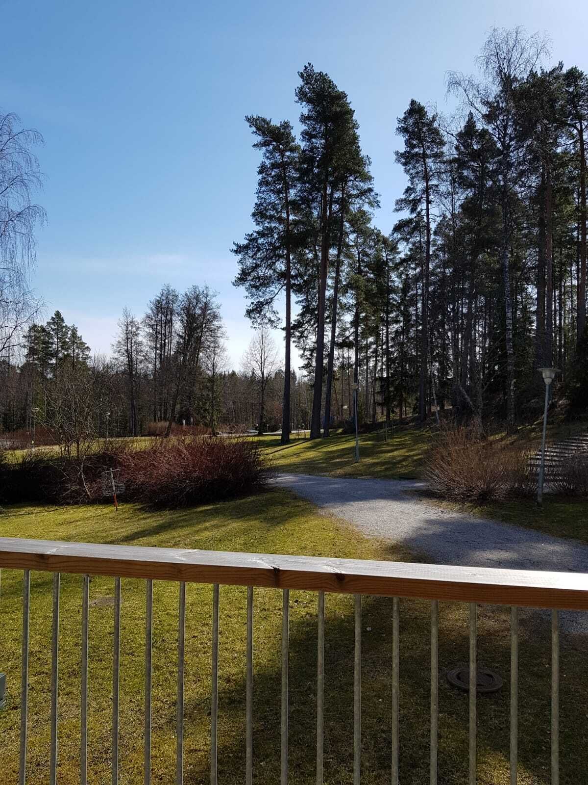 family double or twin room | view from room