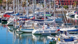A marina with various boats docked, a wooden dock, and buildings in the background. - Sunny Seaside Escape (Lagos)