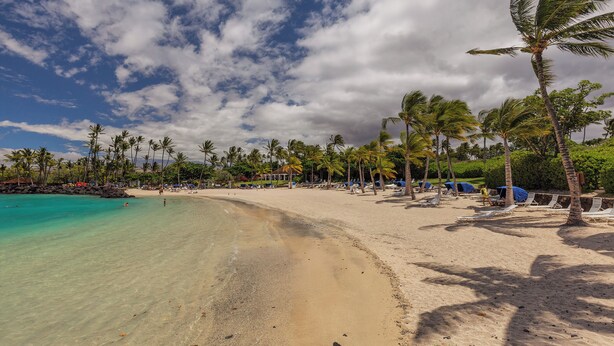 A beach with clear turquoise water, palm trees, and beach umbrellas. - Home Away From Home - Beautiful Townhome in the Heart of Mauna Lani (Kamuela)
