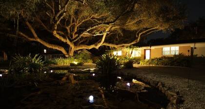 Coastal Island Getaway