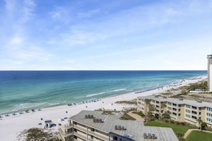 On the beach - The Scallop | Beachfront Condo (Destin)