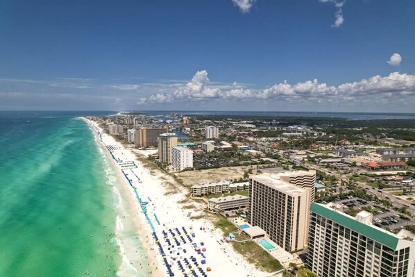 On the beach - The Scallop | Beachfront Condo (Destin)