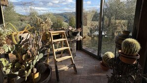 A sunroom with a view of a mountainous landscape, featuring various potted cacti and succulents.