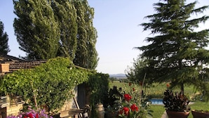 A garden with a stone wall, potted plants, and a small pond. - Casalunga, beautiful farmhouse with swimming pool and garden (Buonconvento)