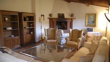 Télévision, cheminée, chaßne hi-fi