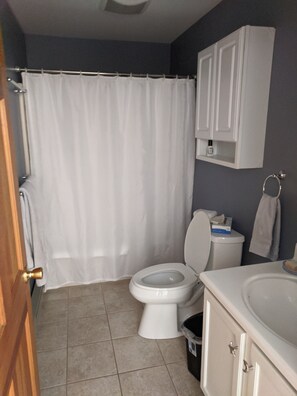 Hair dryer, towels, soap, toilet paper